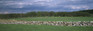 ShelfScapes #3106x Gettysburg Battlefield 10" x 30" Backdrop