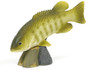Royal Darwin Model 105 Freshwater Game Fish Small Mouth Bass Our American Heritage Series Collectible
