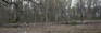 ShelfScapes 3137 Plum Run II Gettysburg Museum Quality Backdrop Diorama 10" x 30"