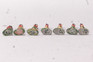 Wend-Al British Toy Soldiers Seaforth Highlanders Historical Figures