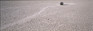 Images Of The Land ShelfScapes #1224MT Dried River Bed 10" x 30" Backdrop Mounted