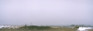 ShelfScapes 1406 Winter Scene #4 Diorama Backdrop 10" x 30"