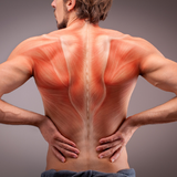 Top 5 Back Pain Solutions