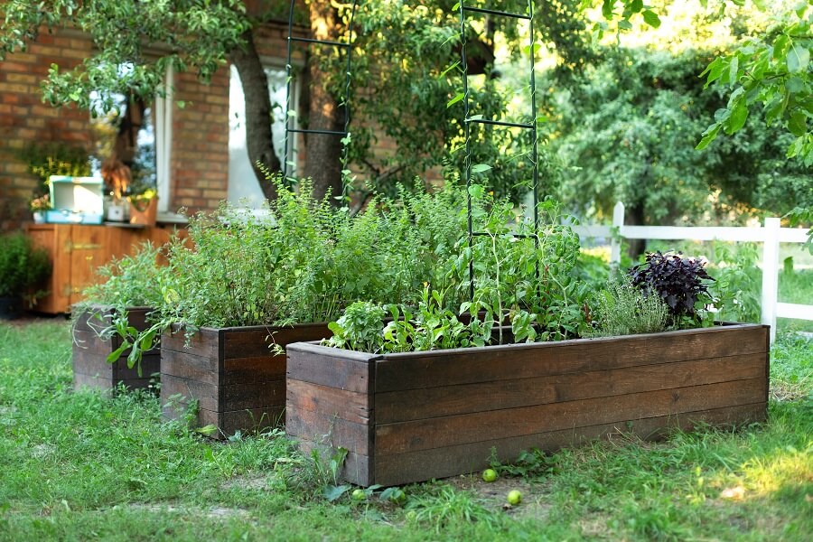 Thriving Garden Bed