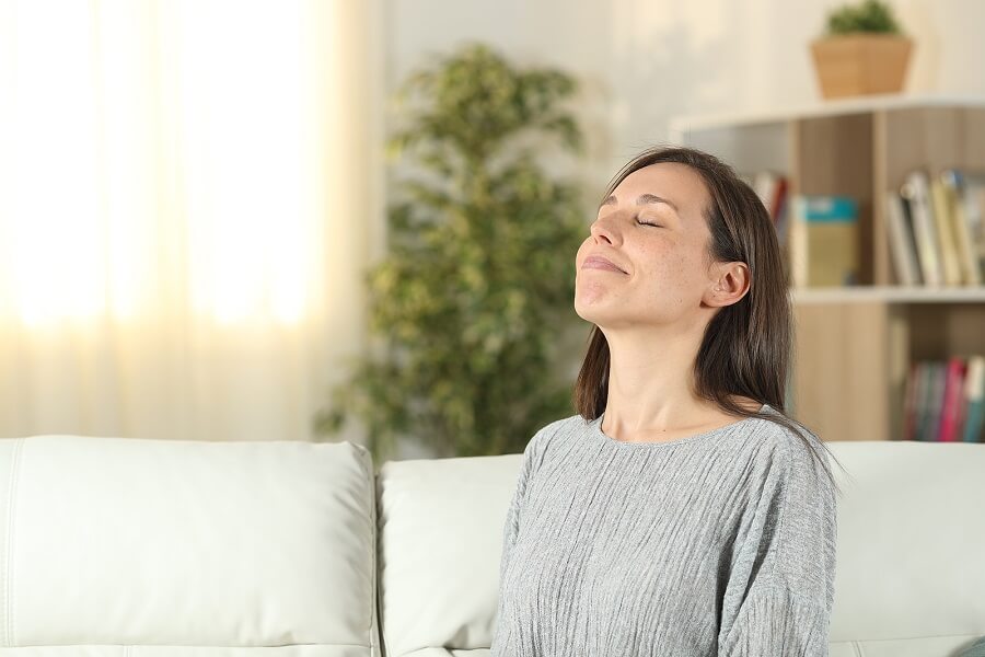 Breathe Clean Air, Night and Day: How to Purify the Air in Your Home -  Creatrix Solutions