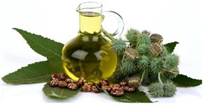 Castor Oil Benefits