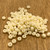 8/0 Ivory Opaque Japanese Seed Bead