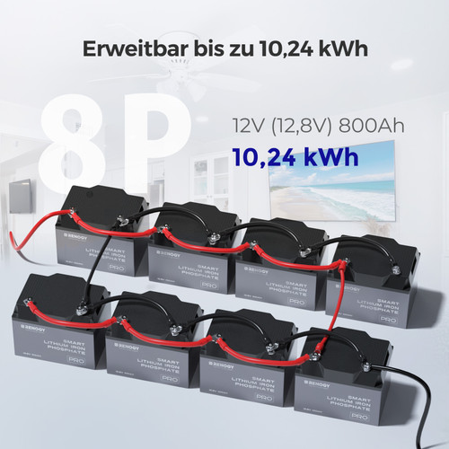 RENOGY LiFePO4 100Ah 12V Batterie mit Selbsterwärmung-Funktion und Bluetooth