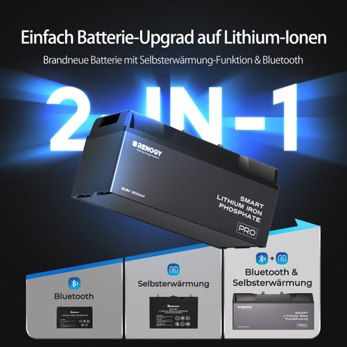 LiFePO4 12V 200Ah Batterie 60+ BMS Schutz IP67 wasserdicht mit Bluetooth&Selbstheizung-Funktion Wohnmobil Boot für Experte