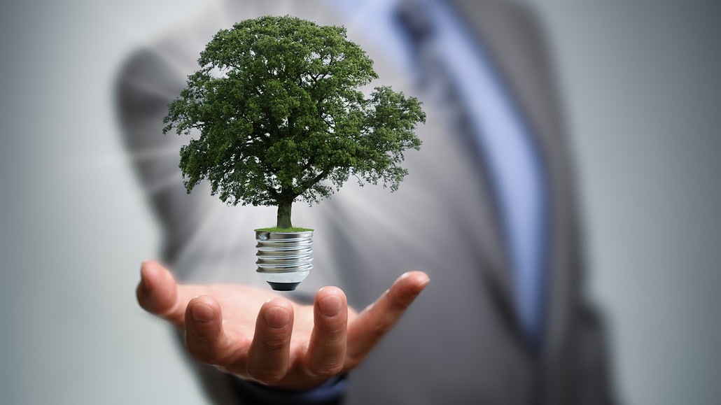 3 Ways to Improve your Business’s Sustainability