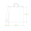 Jumbo Twist Handle Kraft Paper Bags 150/Carton BAG-TA-T-JUMBO BioPak