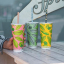 510ml / 16oz (90mm) Cold Paper BioCup 1000/Carton BCC-16 BioPak