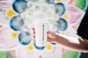 390ml / 12oz (90mm) Single Wall Plain White BioCup 1000/Carton BC-12W BioPak
