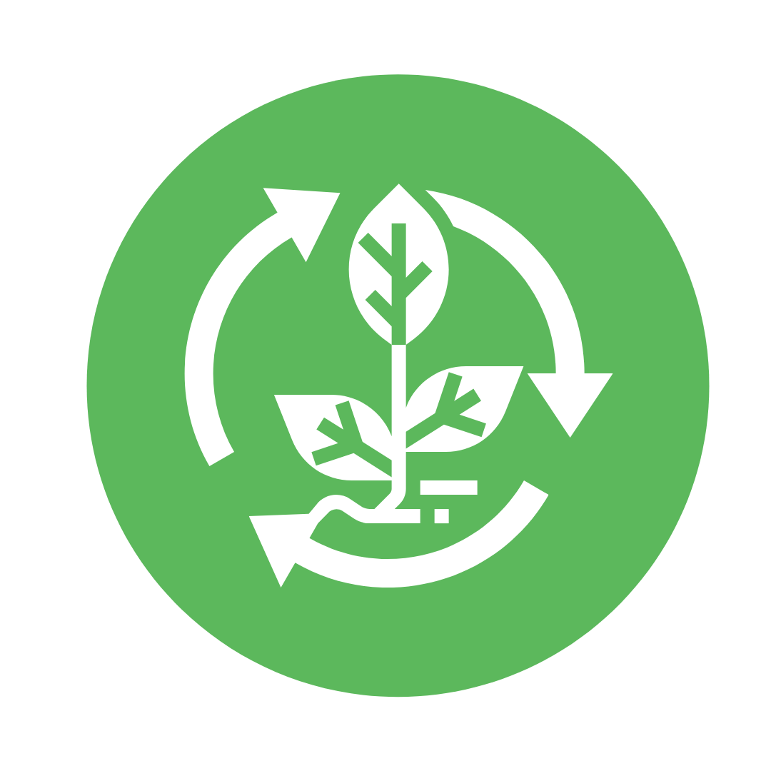 Compostable Vs Biodegradable