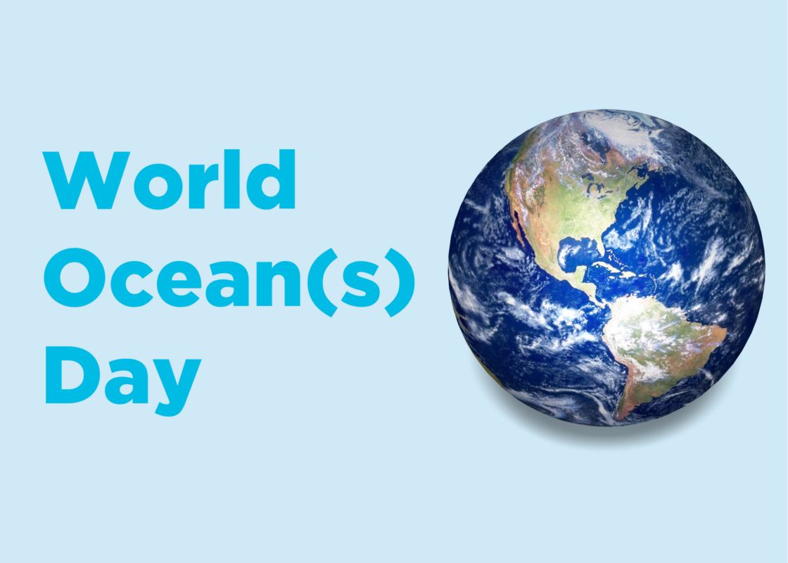 World Oceans Day and What it Means