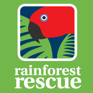 Rainforest Rescue: Your Impact