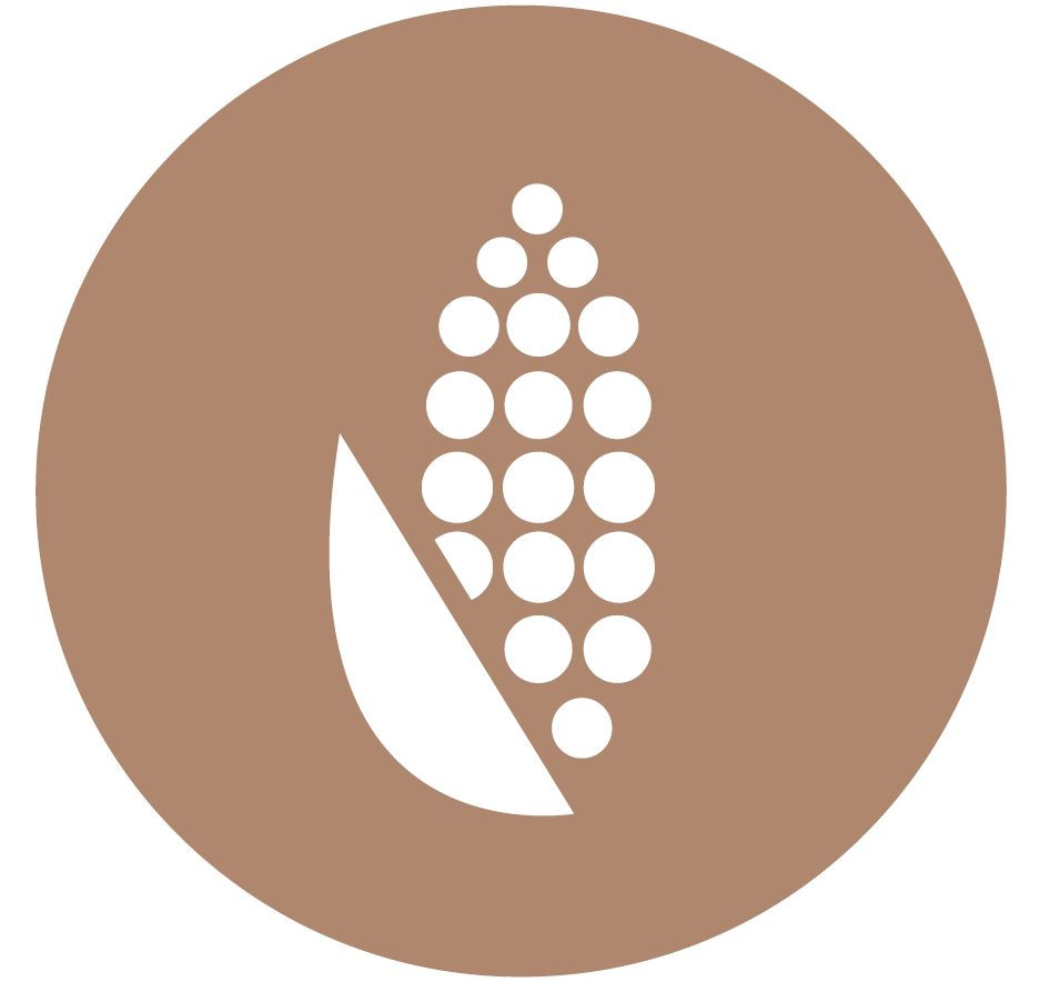 What is PLA Bioplastic? What is PLA Bioplastic?