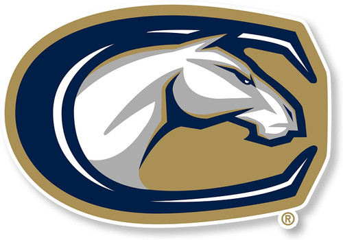 UC Davis Aggies Cornhole Decal