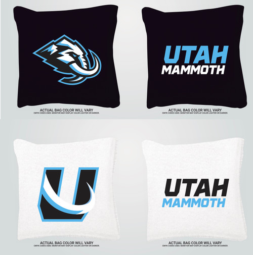 Kayden Nielsen's Custom Cornhole Bags - Set of 8