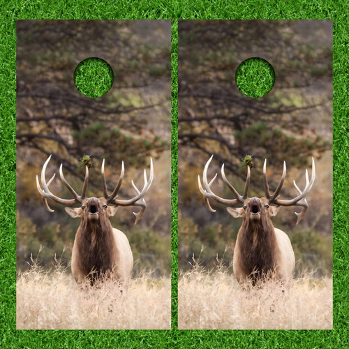 Jay Allen's Custom Cornhole Wraps - Set of 2