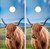 Highland Cow Version 3 Cornhole Set with Bags