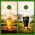 Guinness and Harp Cornhole Set with Bags
