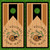 Steven Schneider's Custom Cornhole Wraps - Set of 2
