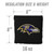 Baltimore Ravens Dual-Sided All-Weather Cornhole Bags – Set of 8