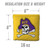 East Carolina Pirates Dual-Sided All-Weather Cornhole Bags – Set of 8