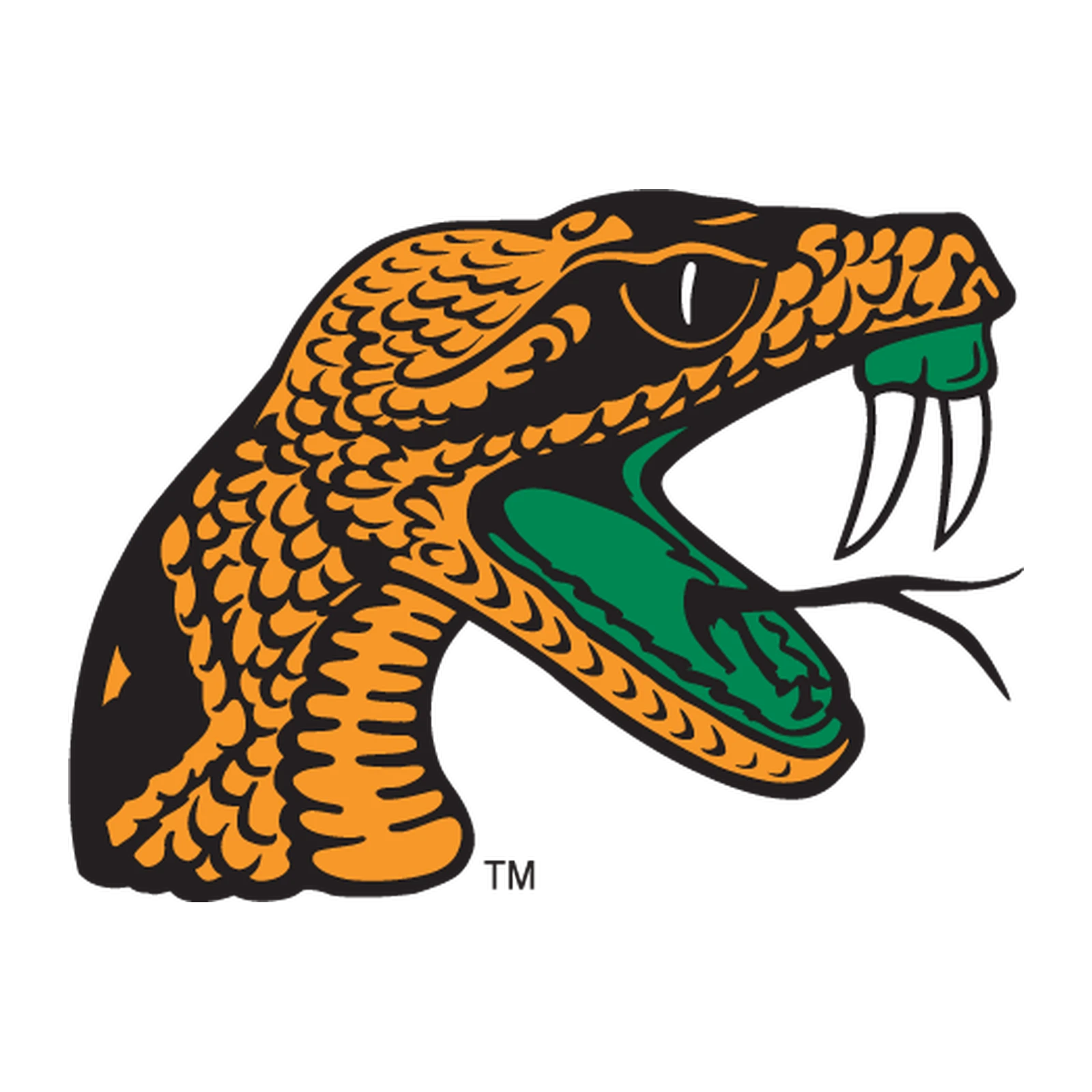 Florida A&M Rattlers Cornhole Sets