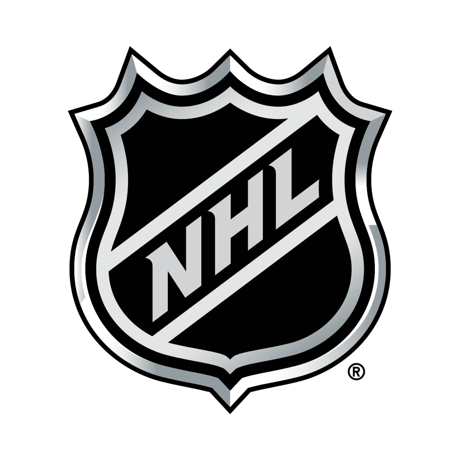 NHL Cornhole Bags