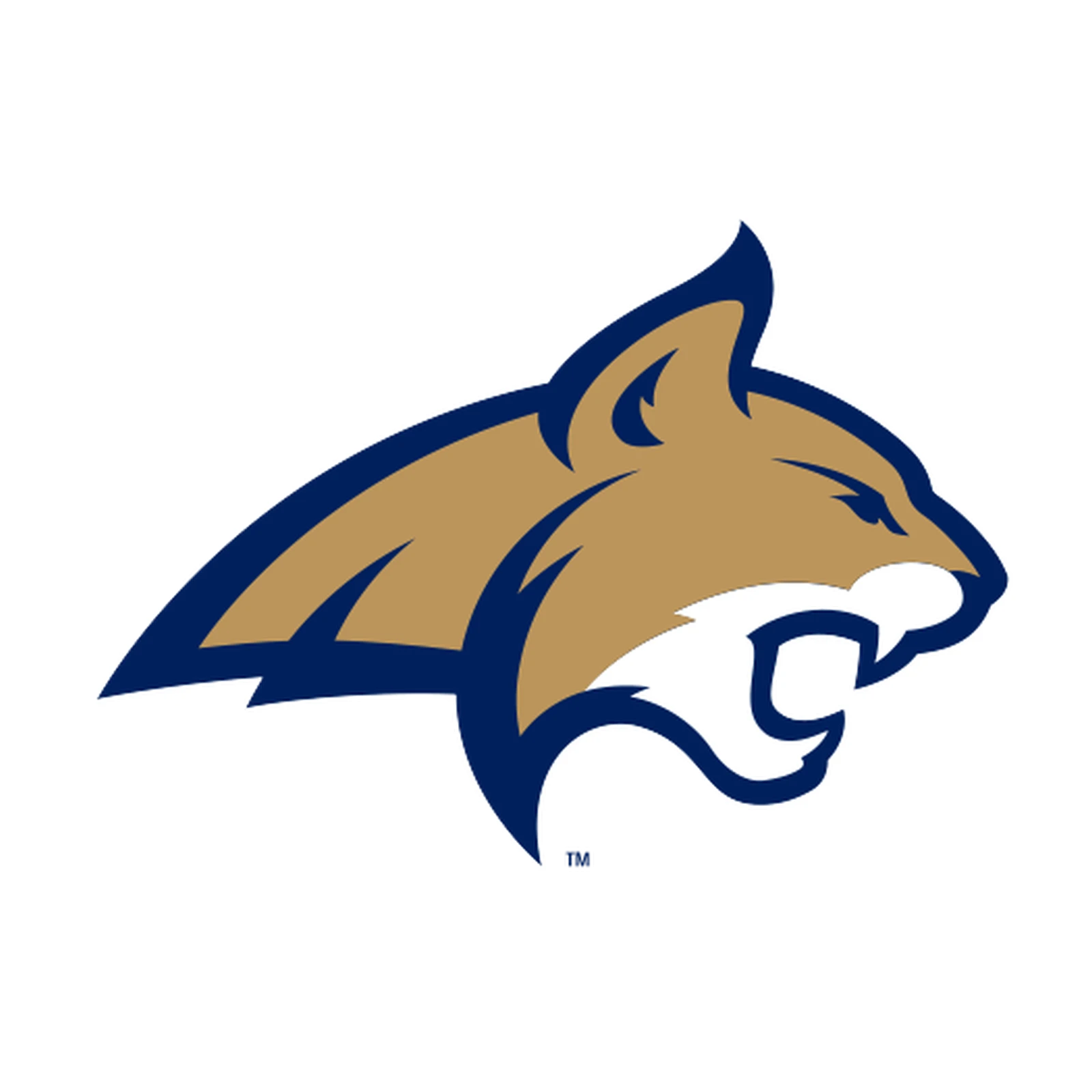 Montana State Bobcats Cornhole Sets