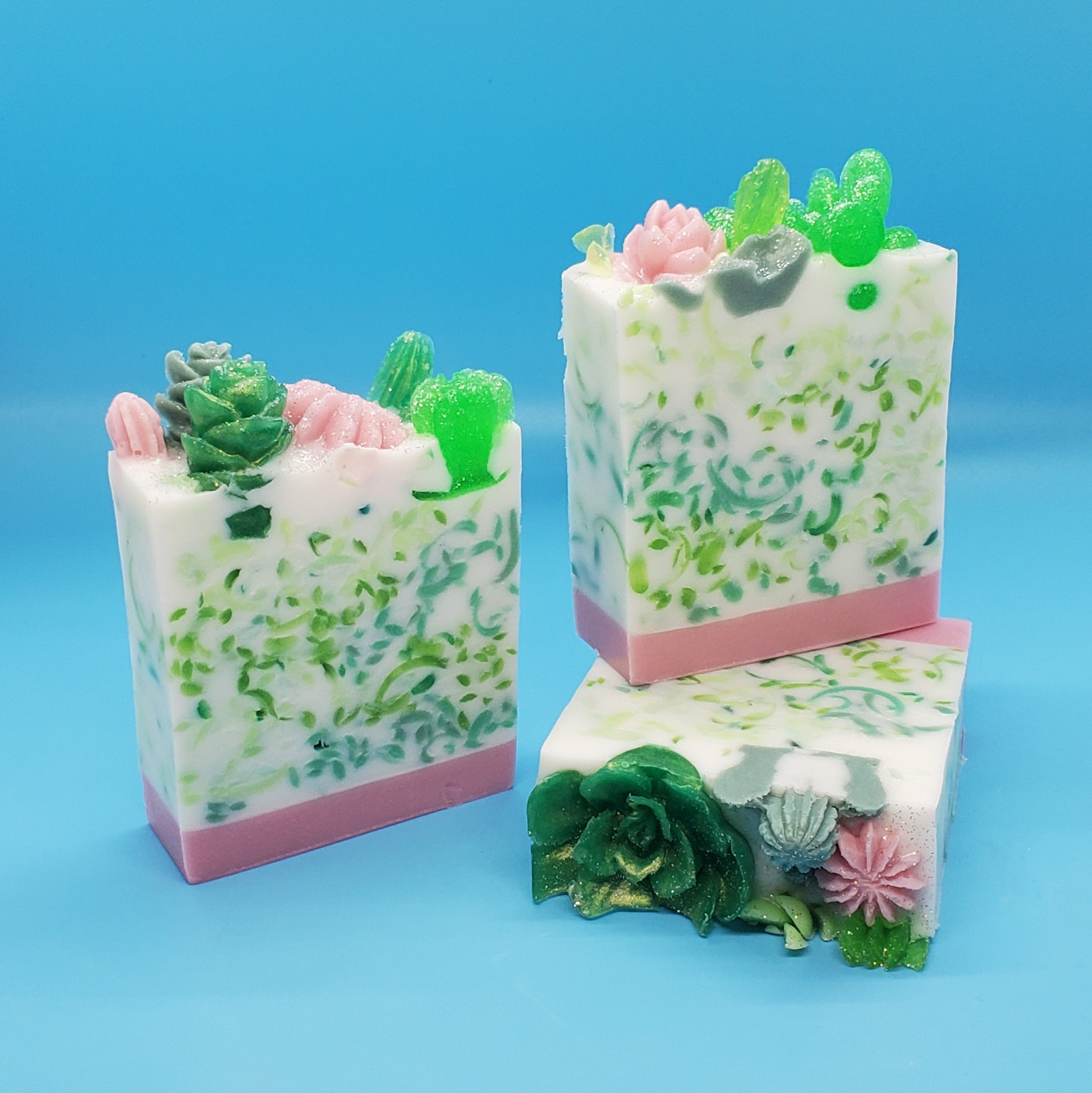 Succulent Garden 