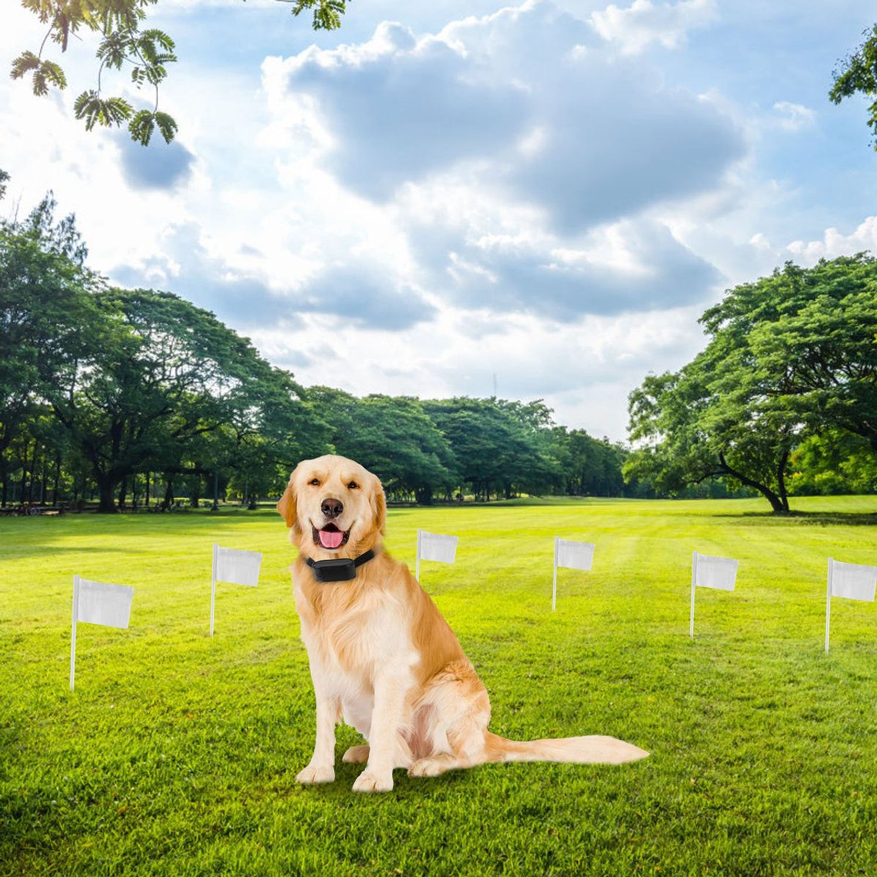 PetLuv™ Electric Dog Fence System product image