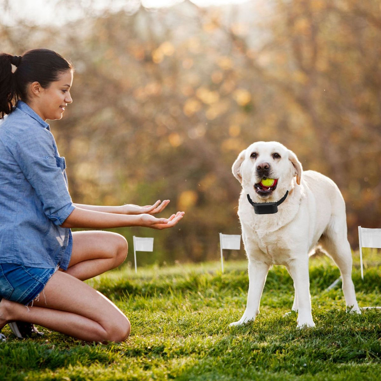 PetLuv™ Electric Dog Fence System product image