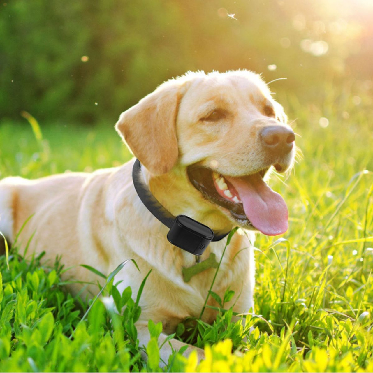 PetLuv™ Electric Dog Fence System product image