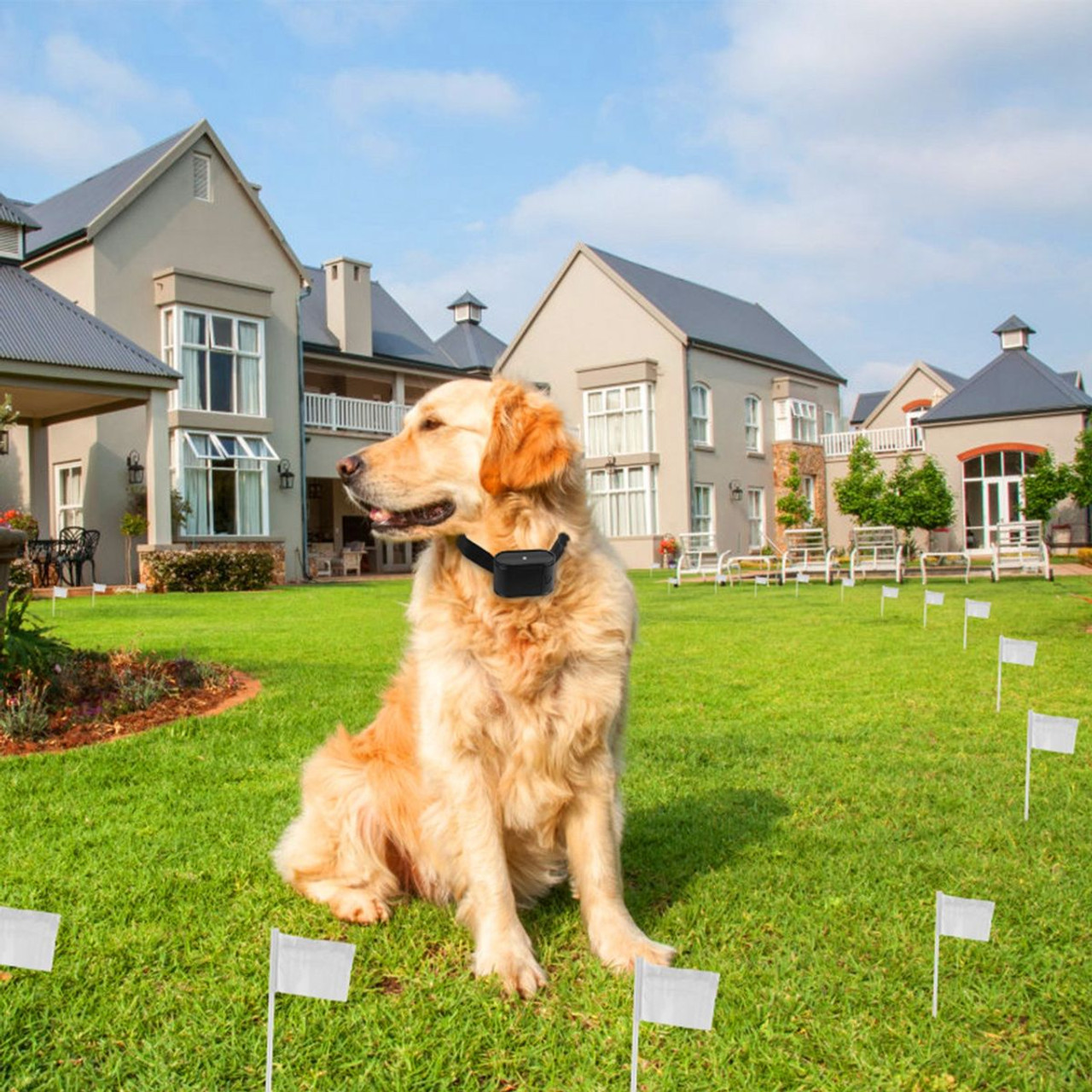 PetLuv™ Electric Dog Fence System product image