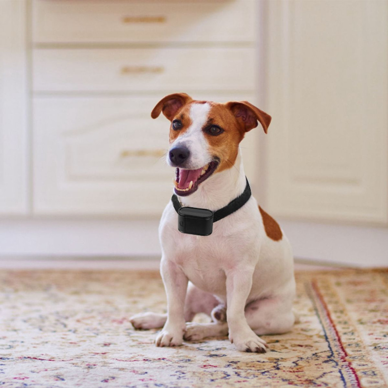 PetLuv™ Electric Dog Fence System product image