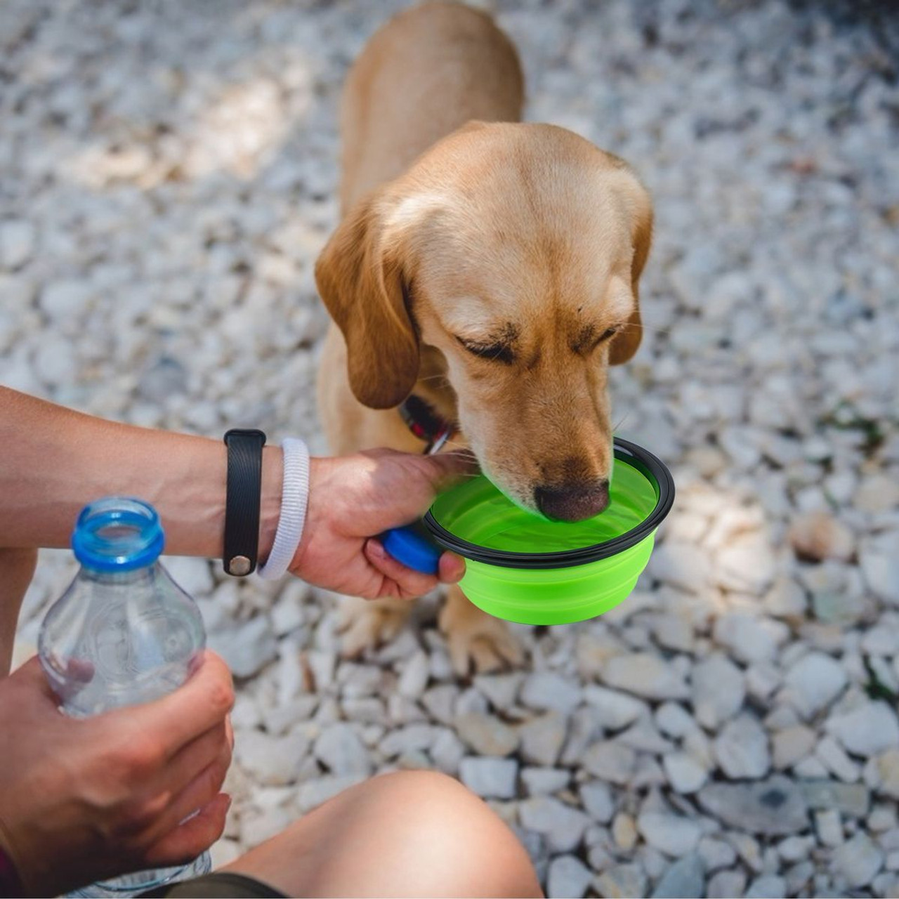 PetLuv™ 4-Piece Silicone Collapsible Pet Bowls product image