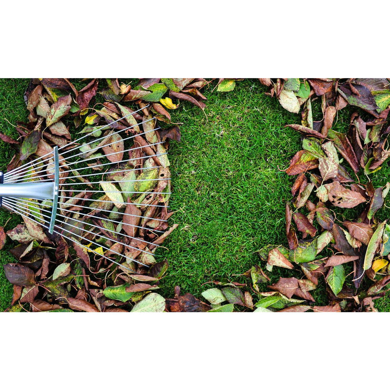 LakeForest® Adjustable Garden Leaf Rake product image