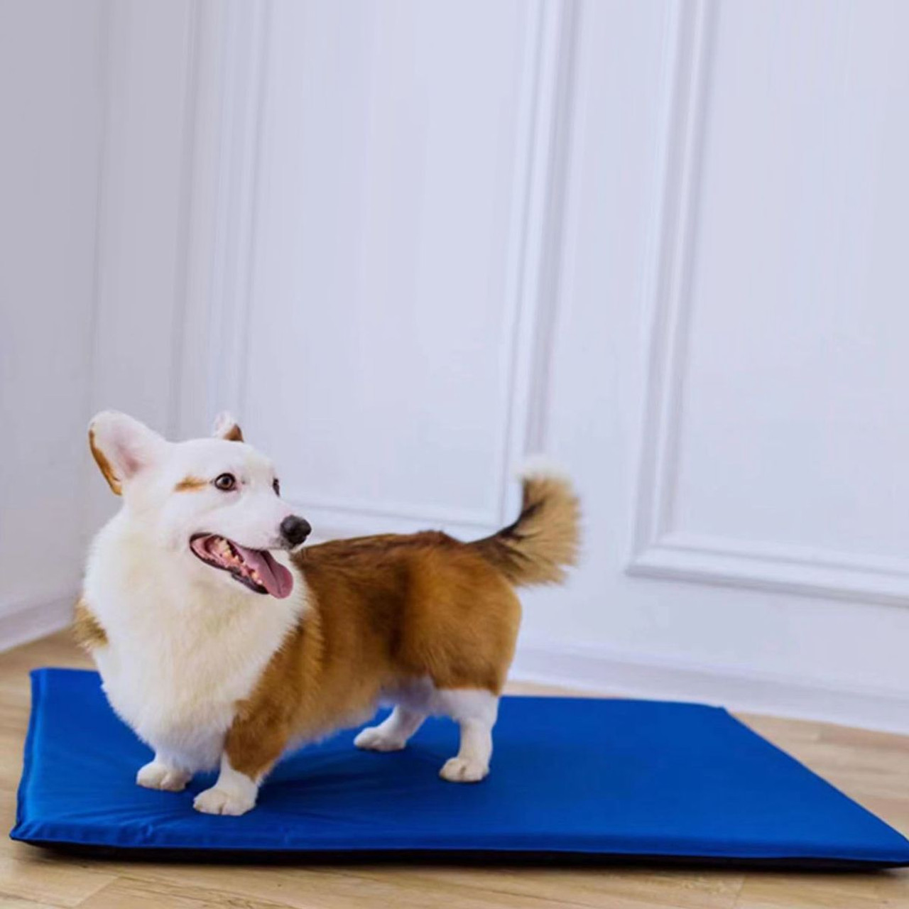 Self Cooling Mat for Pets product image
