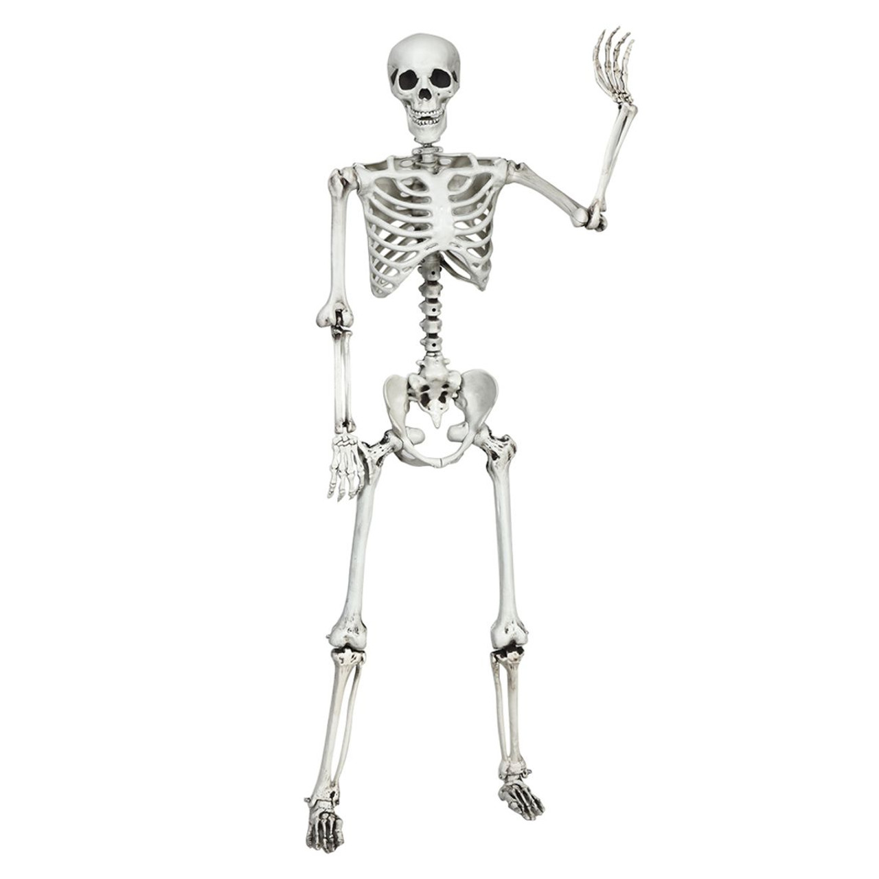 5.4-Foot Halloween Life-Size Full-Body Hanging Skeleton product image