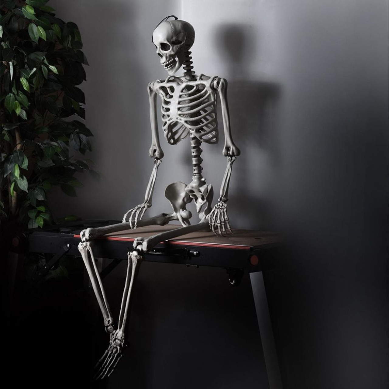 5.4-Foot Halloween Life-Size Full-Body Hanging Skeleton product image