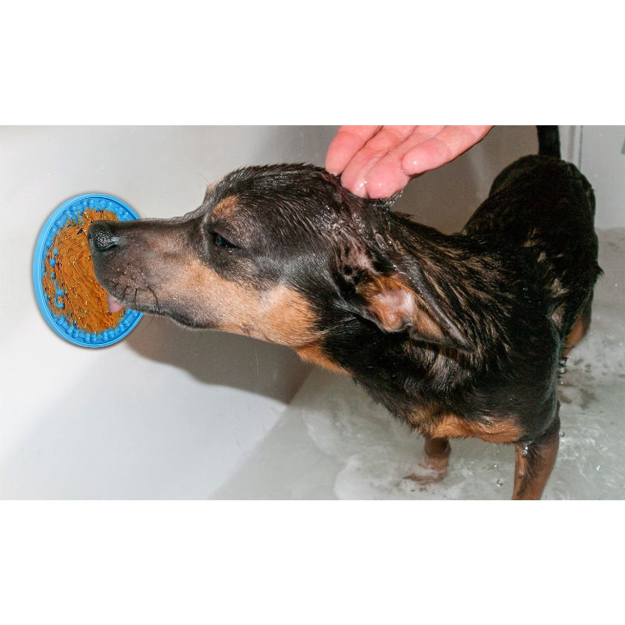 iMounTEK® Dog Lick Pad (2-Pack) product image