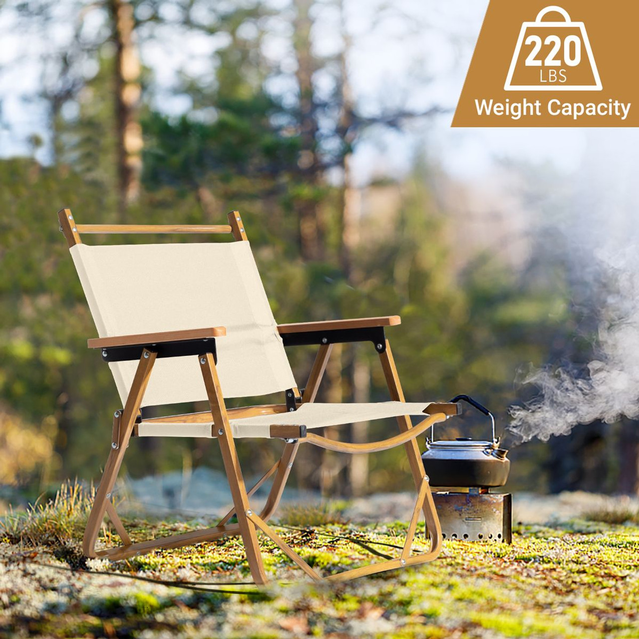 Imitation Wood Aluminum Frame Folding Camping Chair product image