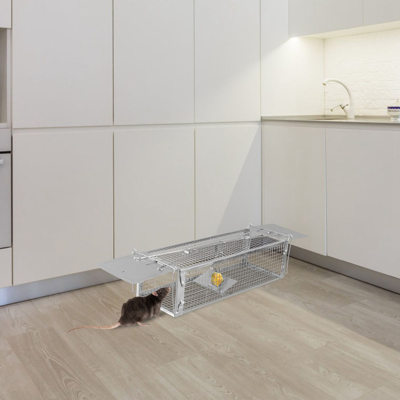 iMounTEK® Humane Live Animal Catch-and-Release Trap product image