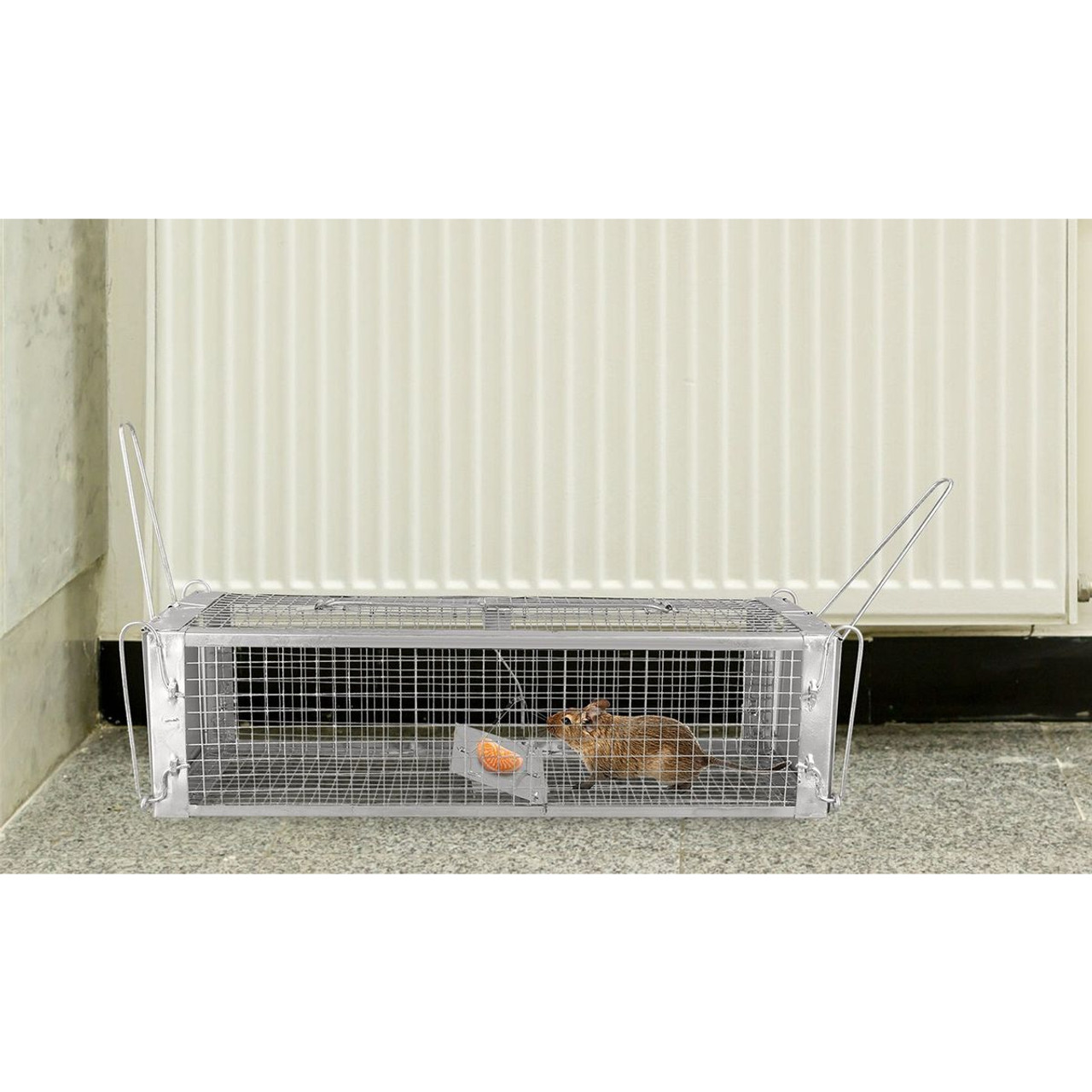 iMounTEK® Humane Live Animal Catch-and-Release Trap product image