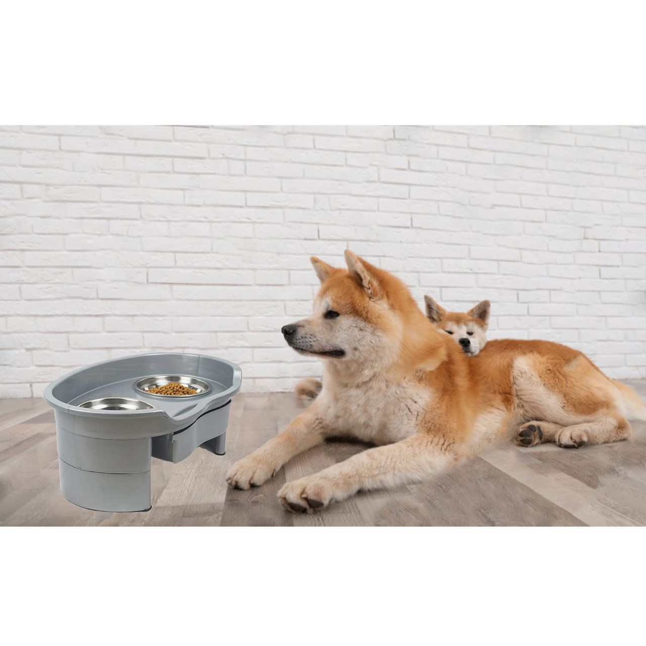 Slate. Modern Stainless Steel Elevated 2 Dog Bowl Stand. S - L Dog Feeding  Station, Best Raised Luxury Stainless Steel Food, Water Bowl