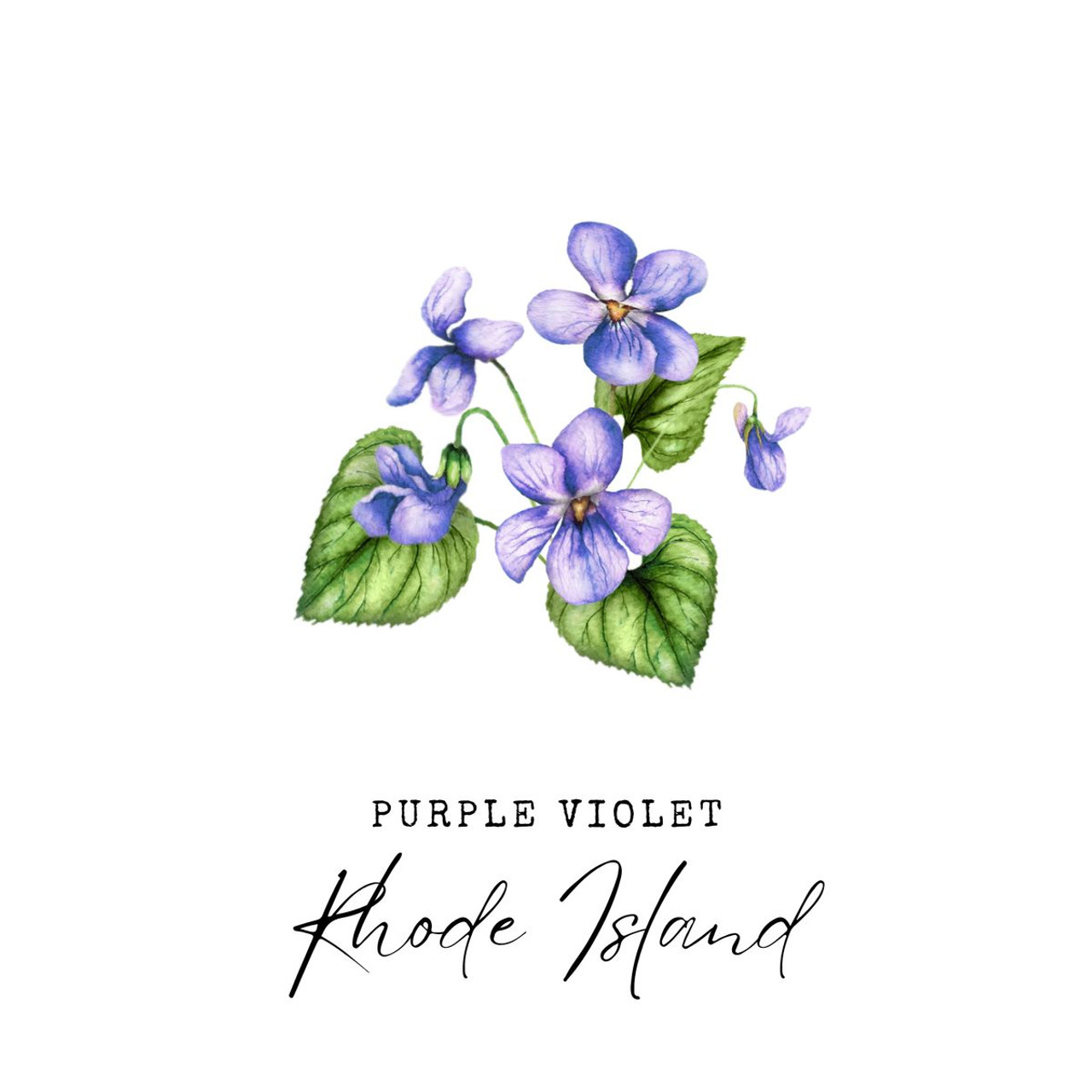 State Flower Wall Art Print product image
