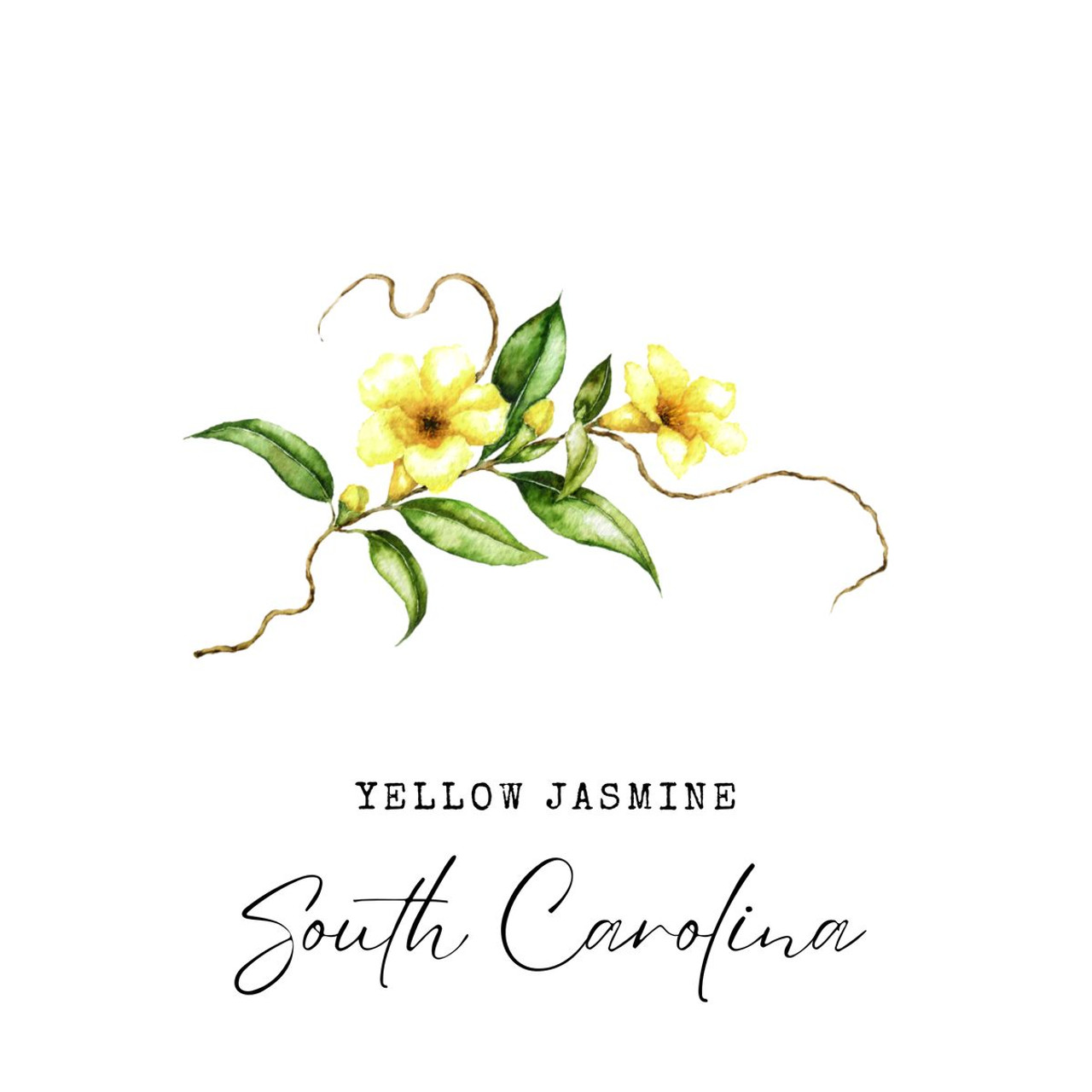 State Flower Wall Art Print product image